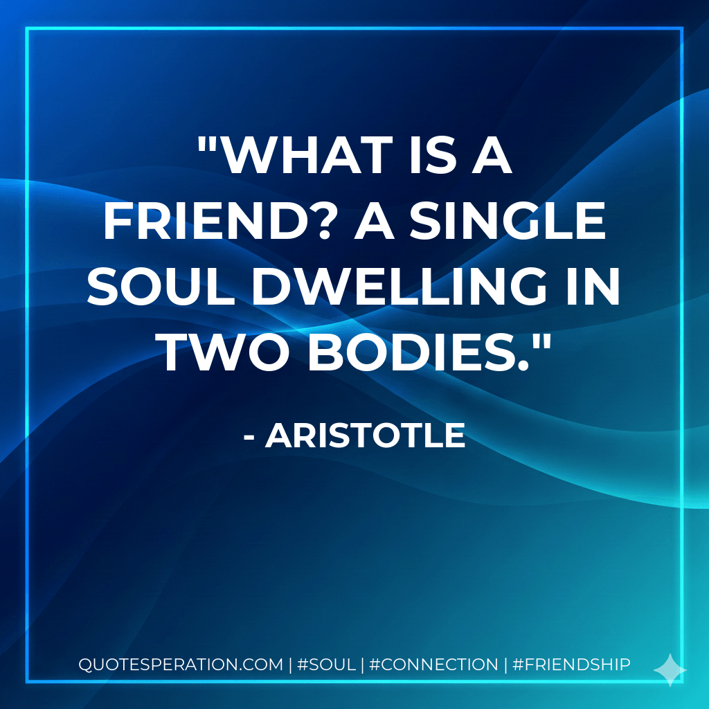 What is a friend? A single soul dwelling in two bodies. - Aristotle