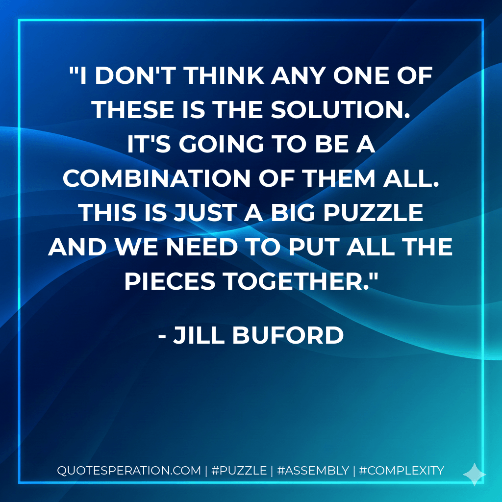 I don't think any one of these is the solution. It's going to be a combination of them all. This is just a big puzzle and we need to put all the pieces together. - Jill Buford