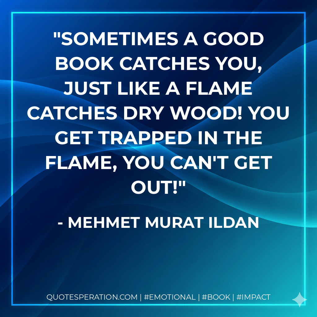 Sometimes a good book catches you, just like a flame catches dry wood! You get trapped in the flame, you can't get out! - Mehmet Murat ildan