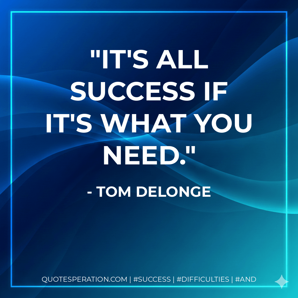 It's all success if it's what you need. - Tom DeLonge