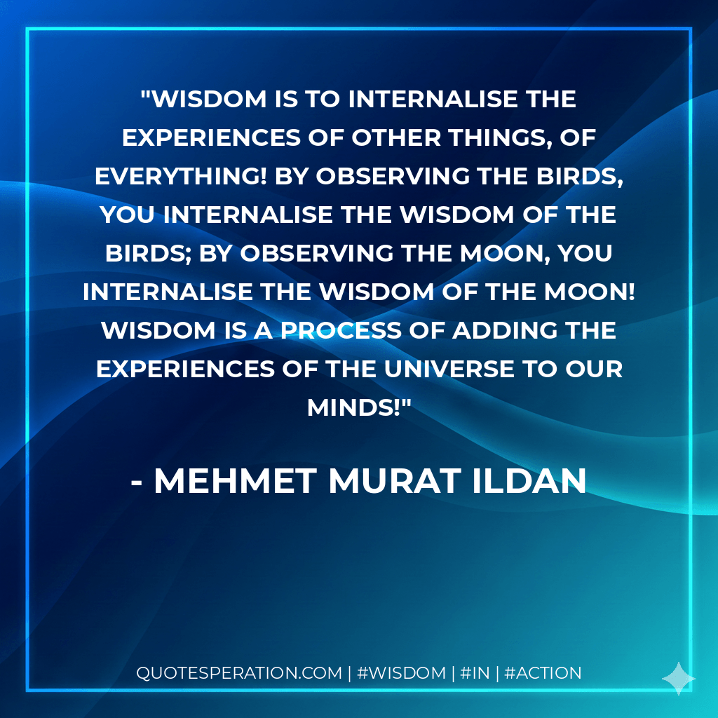 Wisdom is to internalise the experiences of other things, of everything! By observing the birds, you internalise the wisdom of the birds; by observing the Moon, you internalise the wisdom of the Moon! Wisdom is a process of adding the experiences of the universe to our minds! - Mehmet Murat ildan
