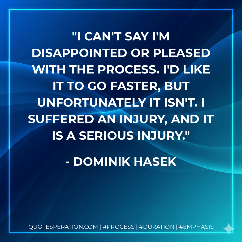 I can't say I'm disappointed or pleased with the process. I'd like it to go faster, but unfortunately it isn't. I suffered an injury, and it is a serious injury. - Dominik Hasek