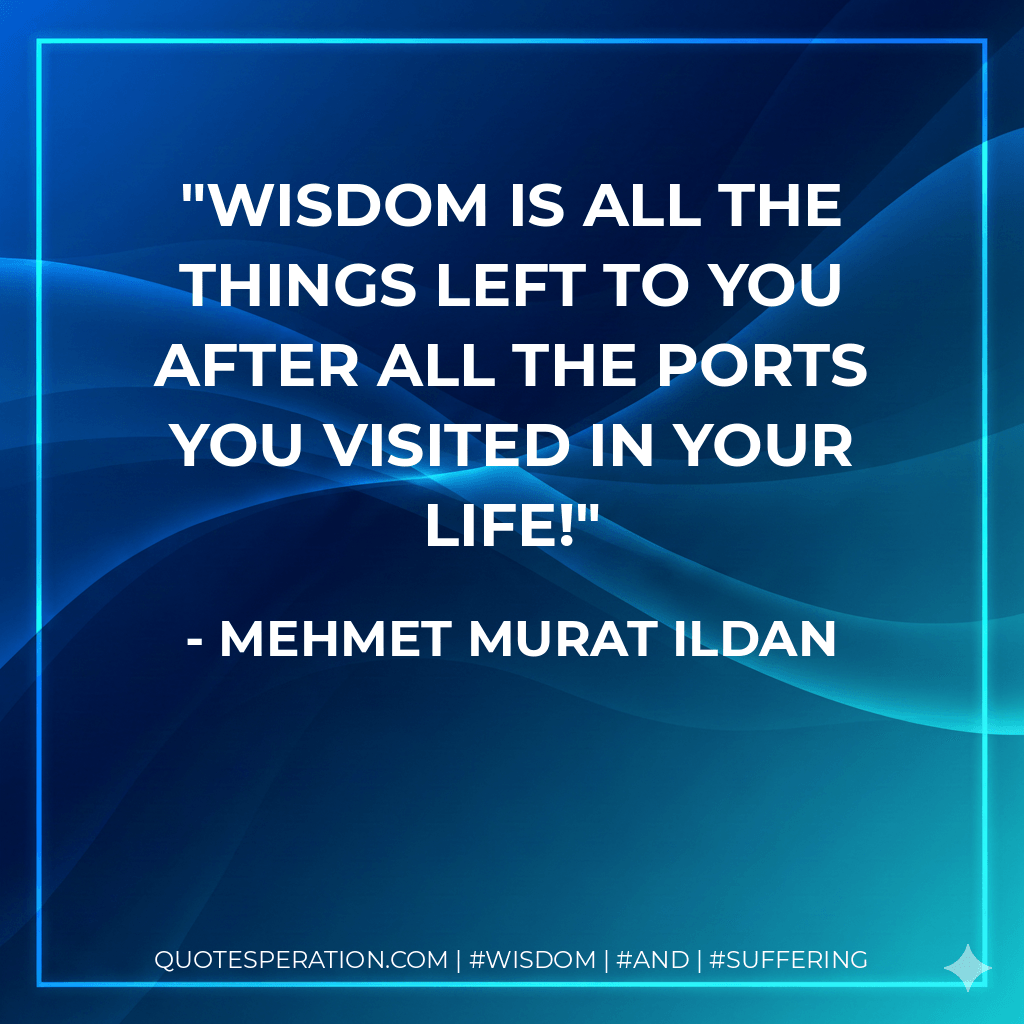 Wisdom is all the things left to you after all the ports you visited in your life! - Mehmet Murat ildan