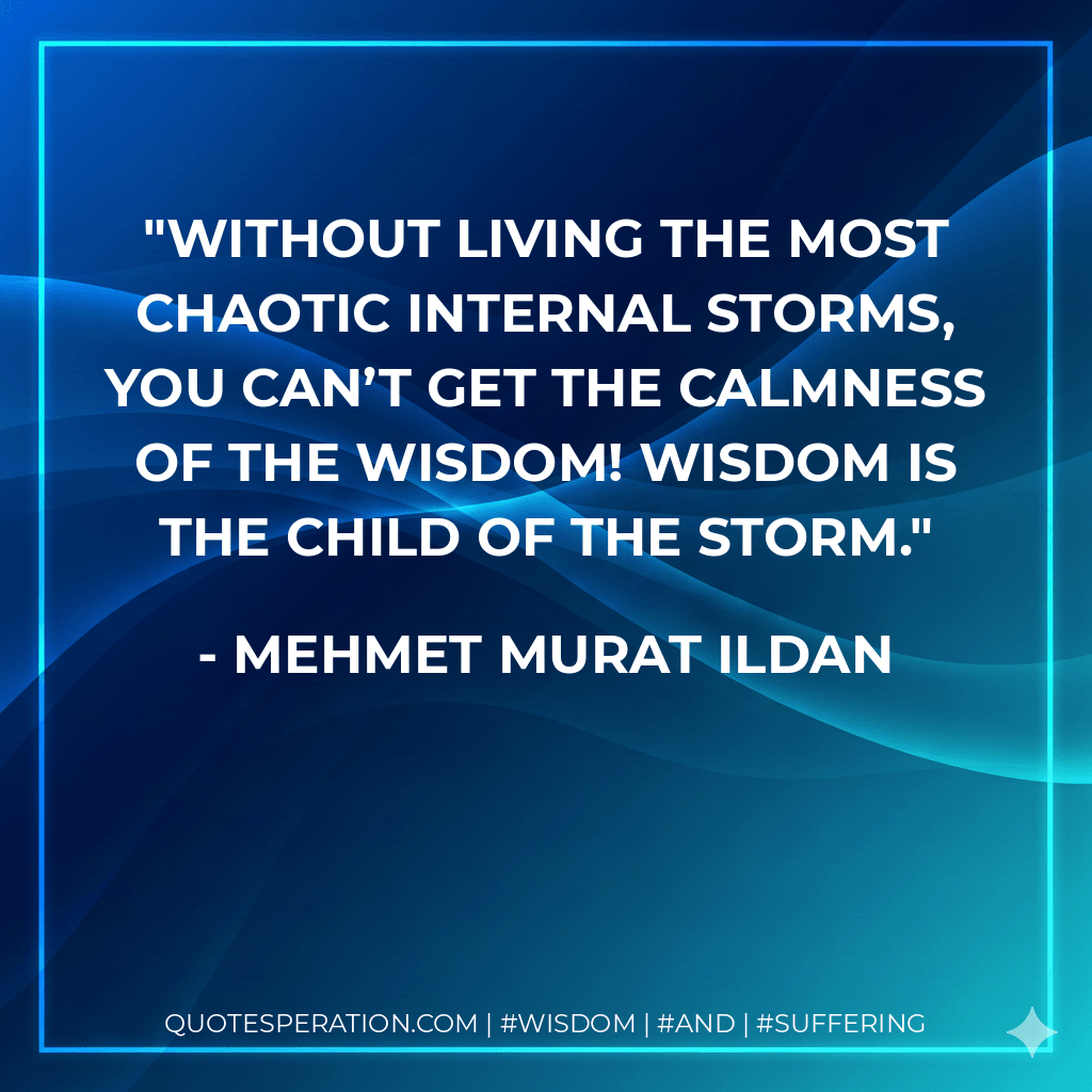 Without living the most chaotic internal storms, you can’t get the calmness of the wisdom! Wisdom is the child of the storm. - Mehmet Murat ildan