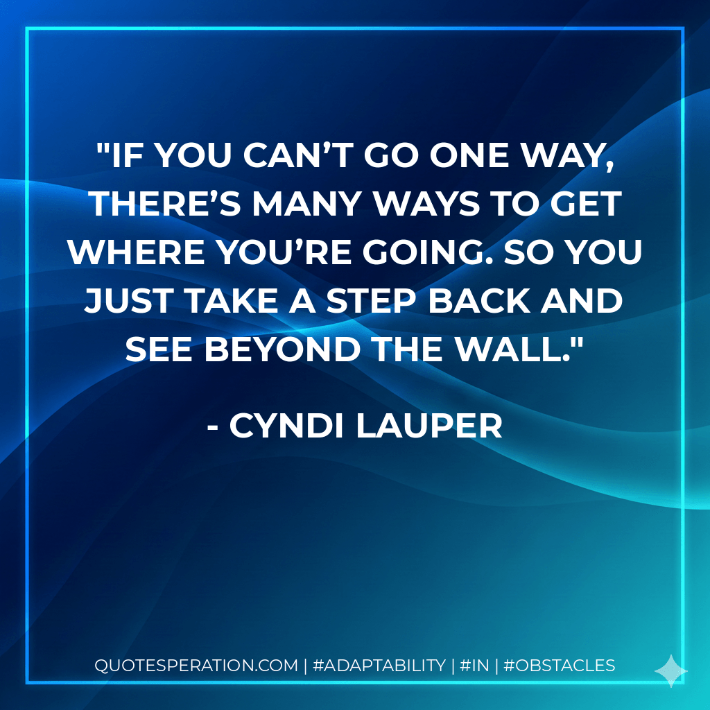 If you can’t go one way, there’s many ways to get where you’re going. So you just take a step back and see beyond the wall. - Cyndi Lauper