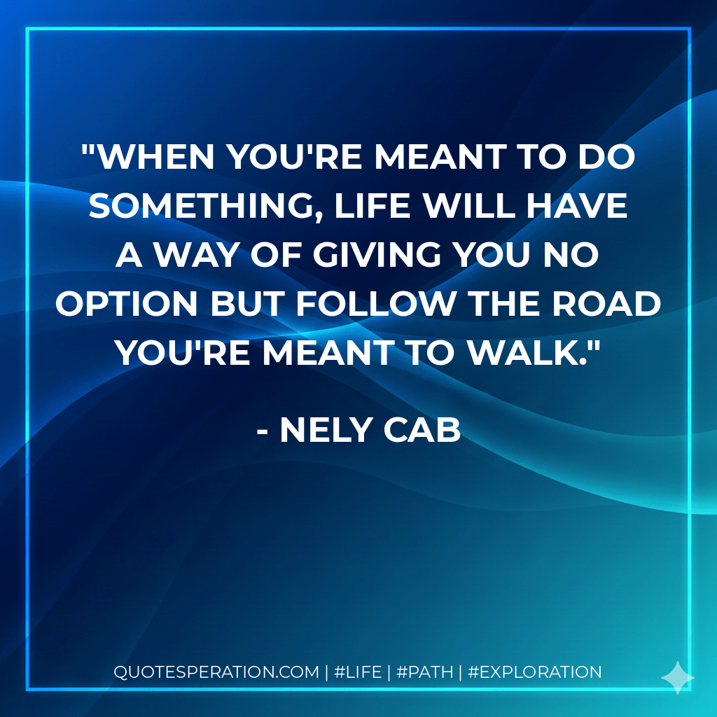 When you're meant to do something, life will have a way of giving you no option but follow the road you're meant to walk. - Nely Cab