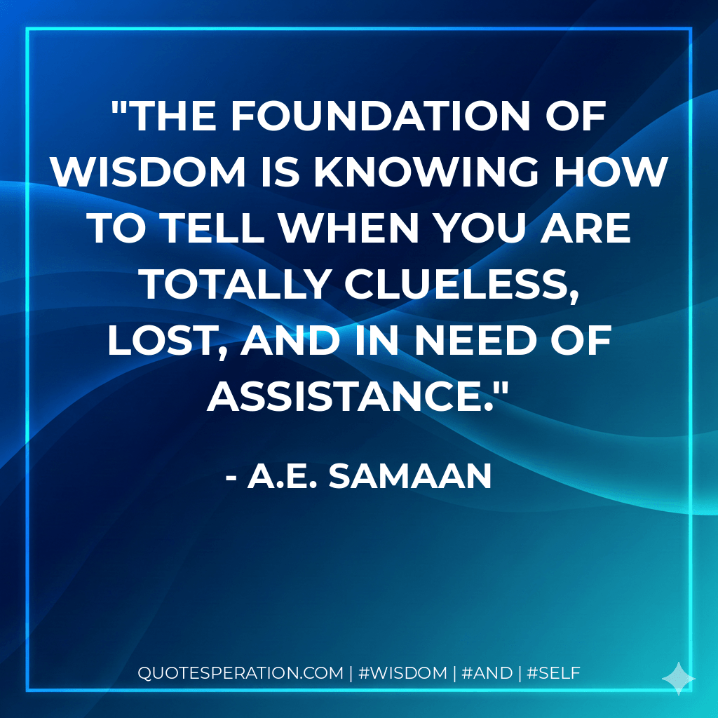 The foundation of wisdom is knowing how to tell when you are totally clueless, lost, and in need of assistance. - A.E. Samaan