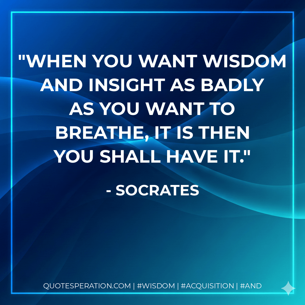 When you want wisdom and insight as badly as you want to breathe, it is then you shall have it. - Socrates