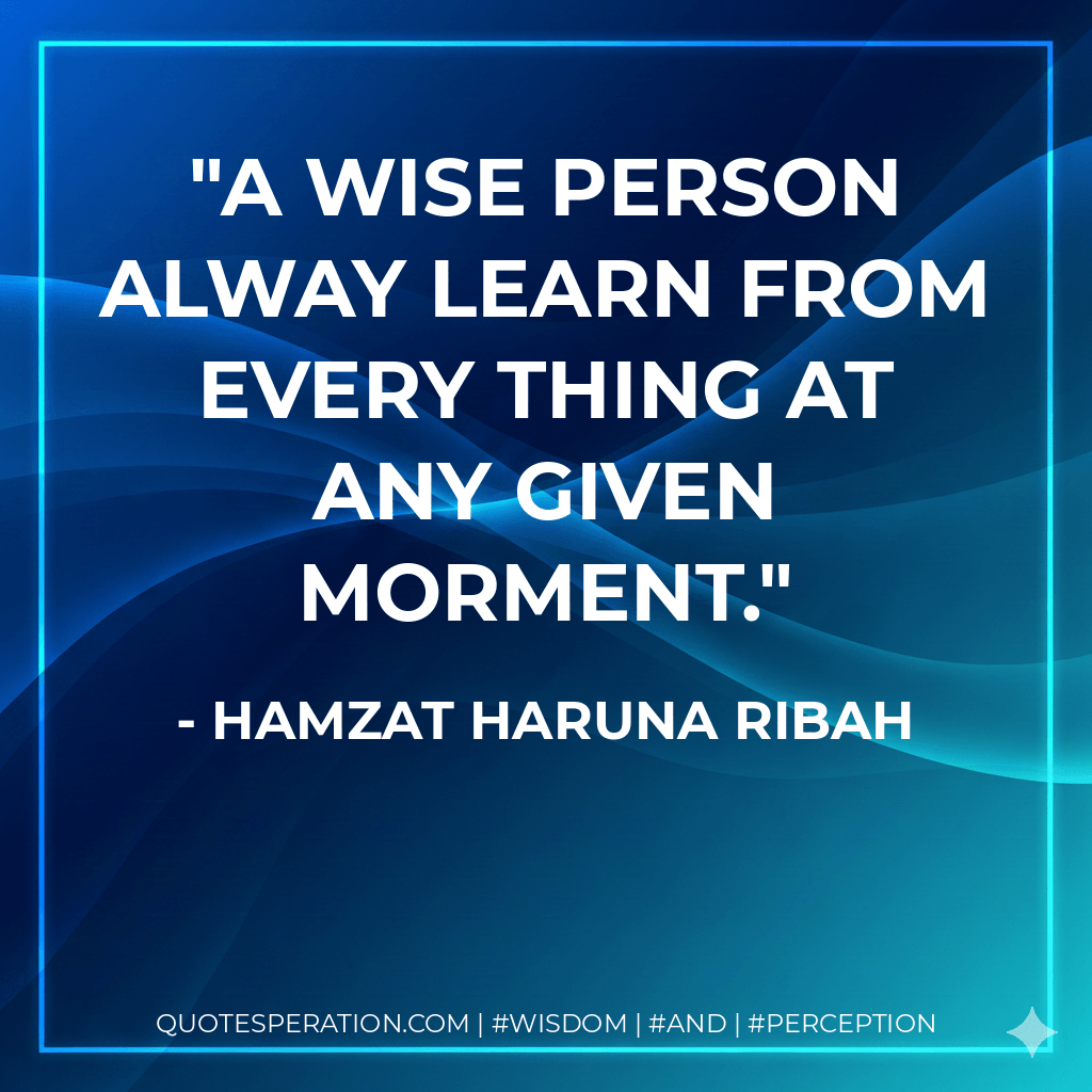 A wise person alway learn from every thing at any given morment. - hamzat haruna ribah