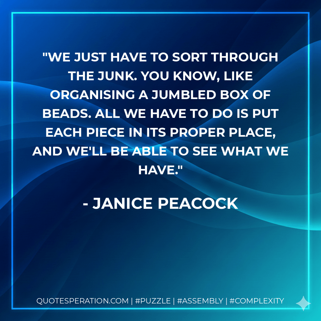 We just have to sort through the junk. You know, like organising a jumbled box of beads. All we have to do is put each piece in its proper place, and we'll be able to see what we have. - Janice Peacock