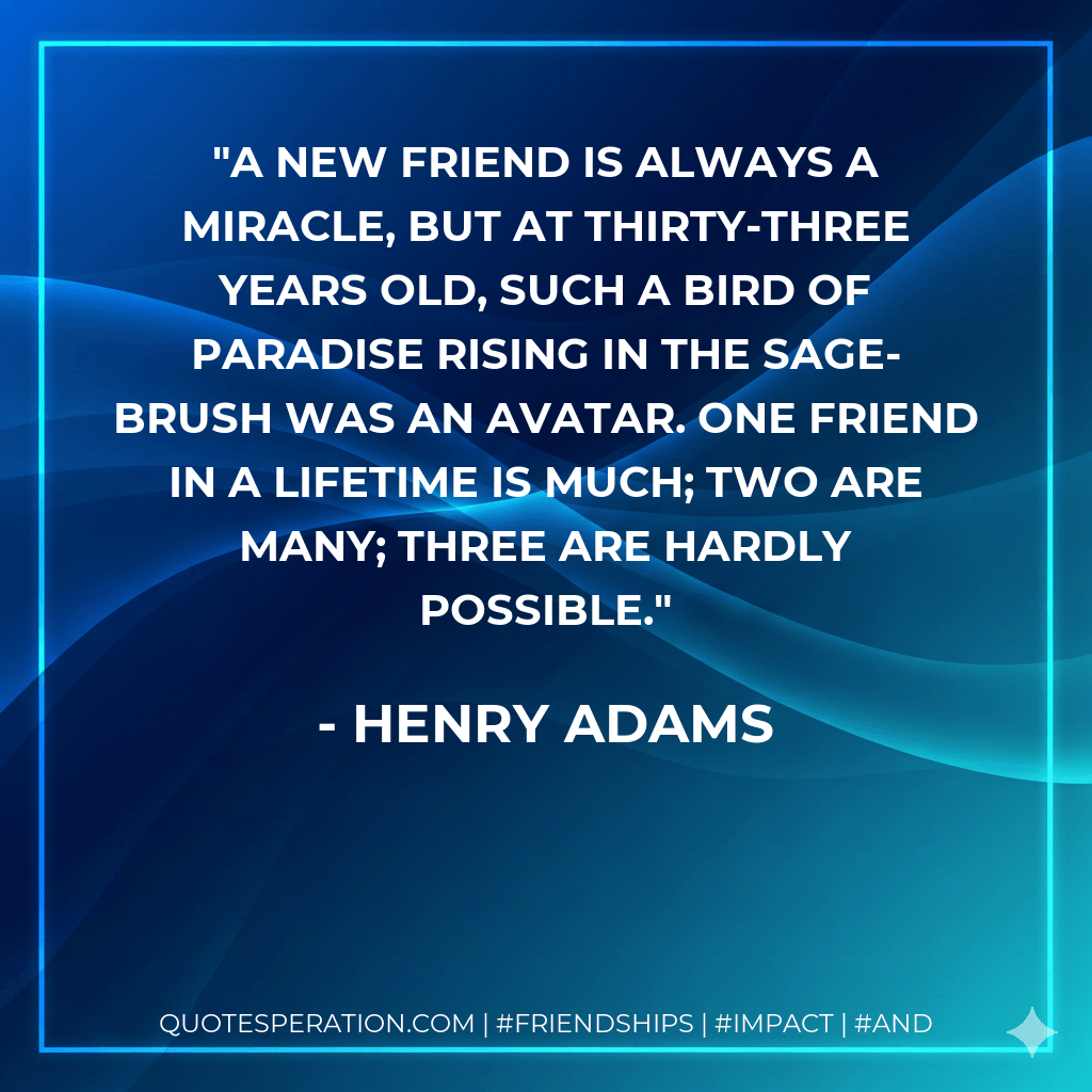A new friend is always a miracle, but at thirty-three years old, such a bird of paradise rising in the sage-brush was an avatar. One friend in a lifetime is much; two are many; three are hardly possible. - Henry Adams